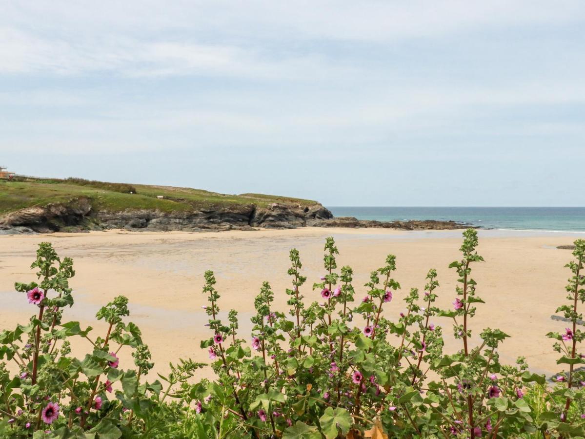 Constantine Bay Cottage Padstow Εξωτερικό φωτογραφία
